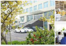 中國全自動水泥空心磚機的領(lǐng)軍品牌！